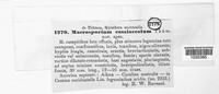 Image Associated With the Occurence